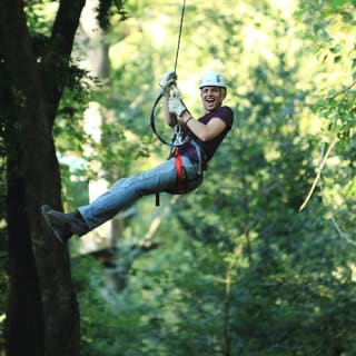 Treetops Adventure: Belgrave Park 1