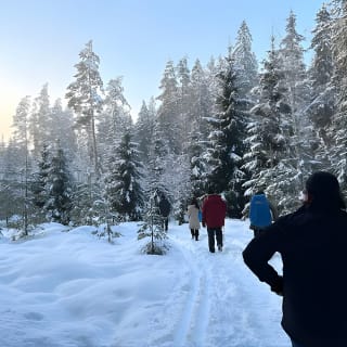 Winter Wonderland Hike in a National Park  13