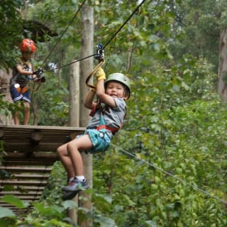 Treetops Adventure: Belgrave Park 2