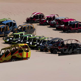 Full Day Lima Paracas & Tour de Adrenalina en Huacachina 6
