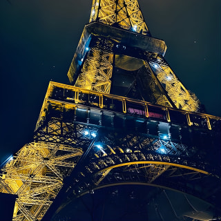 Eiffel Tower Elevator Tour with a Guide (Ecklectours) 3