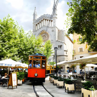 Tour turistico di Maiorca in un giorno con giro in barca e treno d'epoca 18