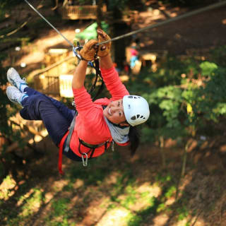 Treetops Adventure: Belgrave Park 4