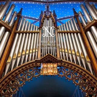 Oferta combinada: Siéntate en el órgano Casavant + visita turística a la basílica Notre-Dame de Montreal 5