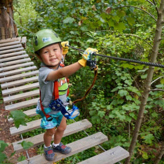 Treetops Adventure: Belgrave Park 5