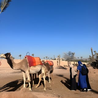 Demi-journée de randonnée à dos de chameau à Agafay avec prise en charge 5
