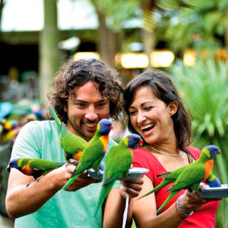 Currumbin Wildlife Sanctuary General Entry Ticket 2