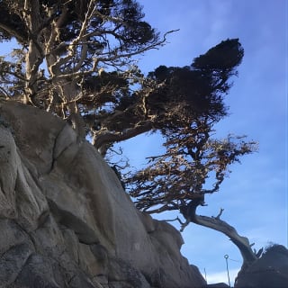 3-Hour Kayaking and Hiking in California’s Central Coast 33