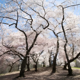 Central Park Photography Tour with Local Photographer 8