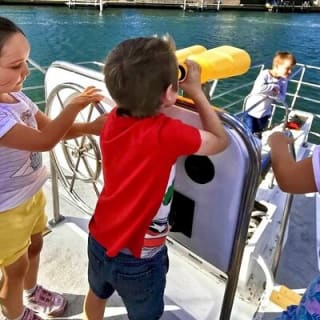 Mandurah Dolphin Cruise & Views 7