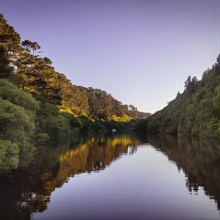 Zealandia - Twilight Guided Eco Wildlife Tour 2