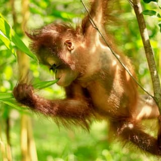 Lombok Wildlife Park: Entry Ticket 5