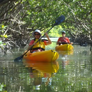 Tour guidato in kayak Eco - Bunche Beach 7