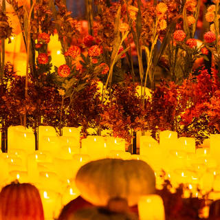 Candlelight: Ein gespenstisches Halloween-Erlebnis 5