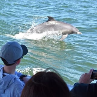 Mandurah Dolphin Cruise & Views 9