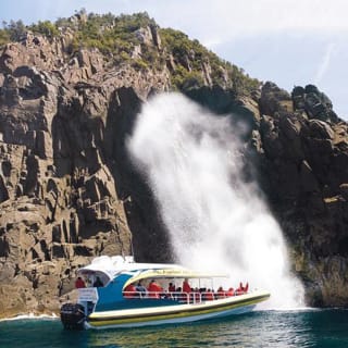 Full-Day Bruny Island Cruises Day Tour from Hobart 5