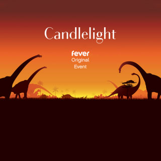 Candlelight: Film Scores Featuring John Williams and More 3