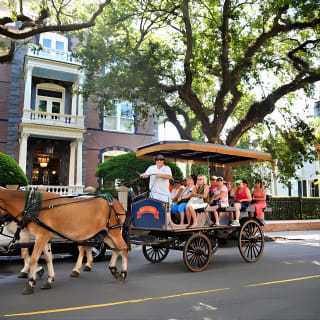 Daytime Horse-Drawn Carriage Sightseeing Tour of Historic Charleston 5
