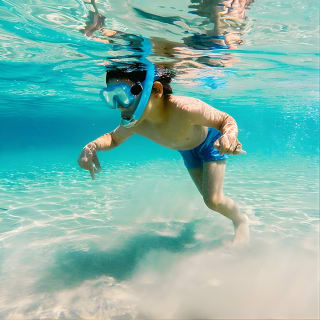 Snorkeling and Dolphin Watching Experience in Destin 3