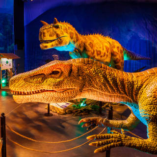 Dino Safari: Una aventura para recorrer caminando 4