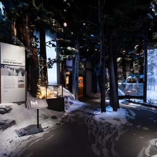 The National WWII Museum Campus Pass plus 4-D Film 3