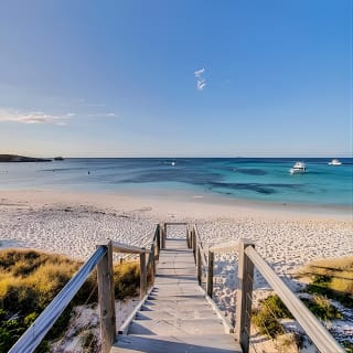 Discover Rottnest with Ferry & Bus Tour 6