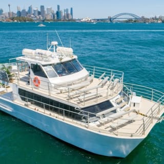 Sydney: Whale Watching Adventure Cruise 24