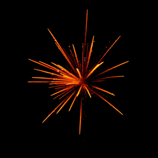 Chepstow Fireworks 4
