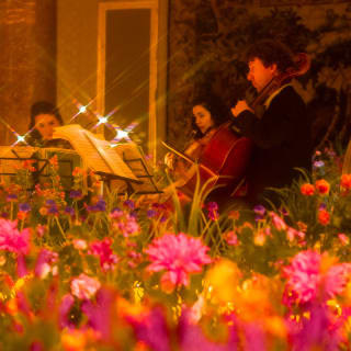 Candlelight Spring: 久石譲へのオマージュ 3