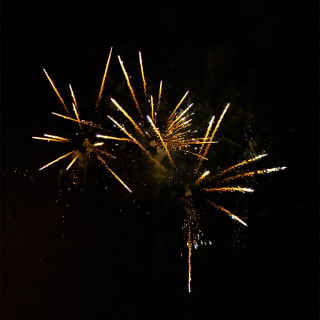 Chepstow Fireworks 6