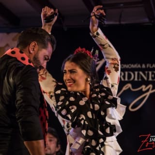Jardines de Zoraya Granada: Espectáculo Flamenco 1