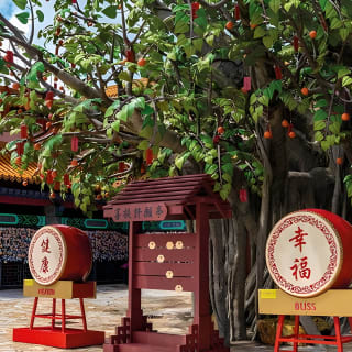 Best Seller: VIP Lantau Tai O Tour con fibbia per capelli 11
