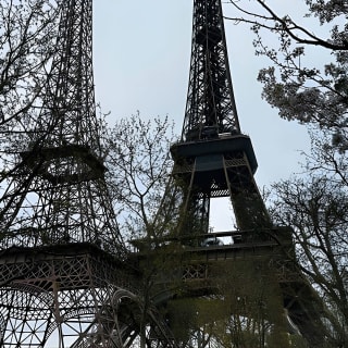 Eiffel Tower Elevator Tour with a Guide (Ecklectours) 4