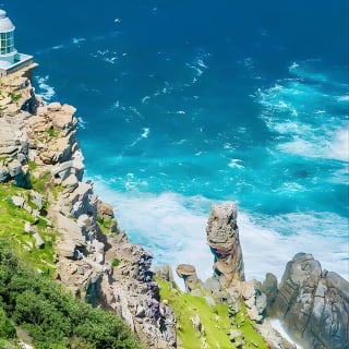 Cape Point and Boulder's Penguins Full Day Tour 8