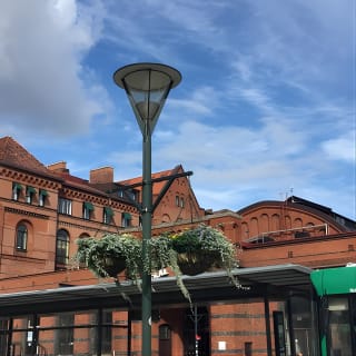Malmo Walking Tour, 3 hours (small group) 6