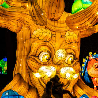 Winter Lantern Festival (Tysons, VA) - Gift Card 3