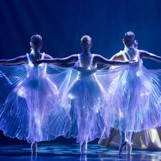 Ballet of Lights : La Belle au bois dormant dans un spectacle étincelant - Carte-cadeau 4