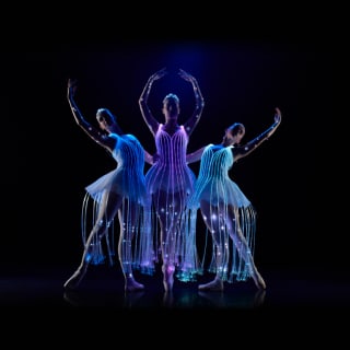 Ballet of Lights : La Belle au bois dormant dans un spectacle étincelant - Carte-cadeau 5