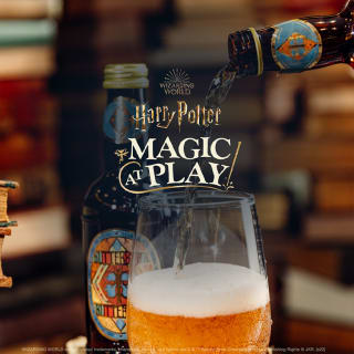 Harry Potter™: Magic at Play 2