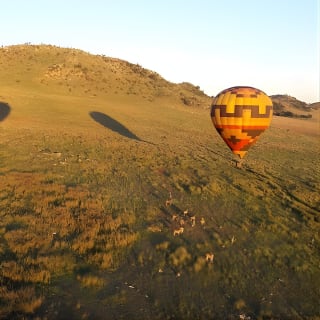 Exclusive Safari Flight 1