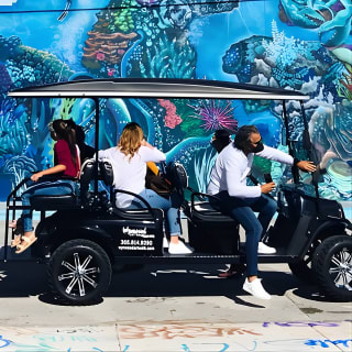 Visita en carrito de golf a una cervecería de Wynwood en grupo reducido con un guía local 2