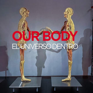 Our Body: El Universo dentro - La experiencia 1