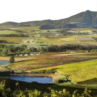 Wine Tour: Paarl, Franschhoek & Stellenbosch incl 3 wineries 19