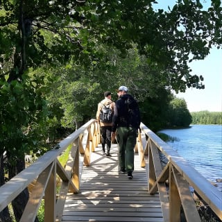 Magical Taiga Forest Hike con Almuerzo y Transporte 2