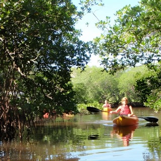 Tour guidato in kayak Eco - Bunche Beach 8