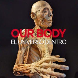 Our Body: El Universo dentro - La experiencia 2