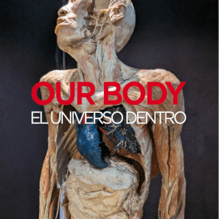 Our Body: El Universo dentro - La experiencia 3