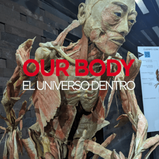 Our Body: El Universo dentro - La experiencia 4