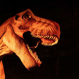 Dinos Alive : une expérience immersive à Montréal 2