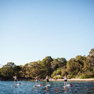 Stand Up Paddle Board Verleih - 2 Stunden 6